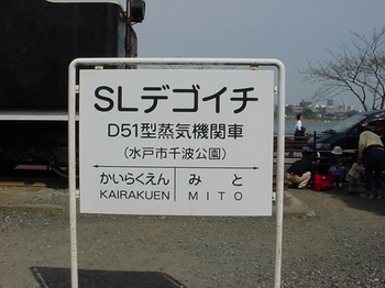 DSC00464.JPG